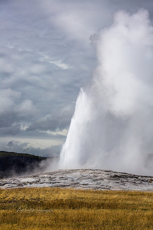 Yellowstone - Geyser