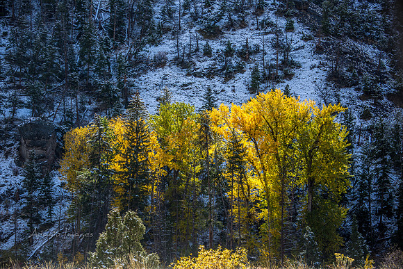 Yellowstone