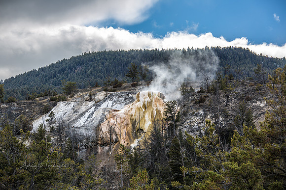 Yellowstone - Geyser