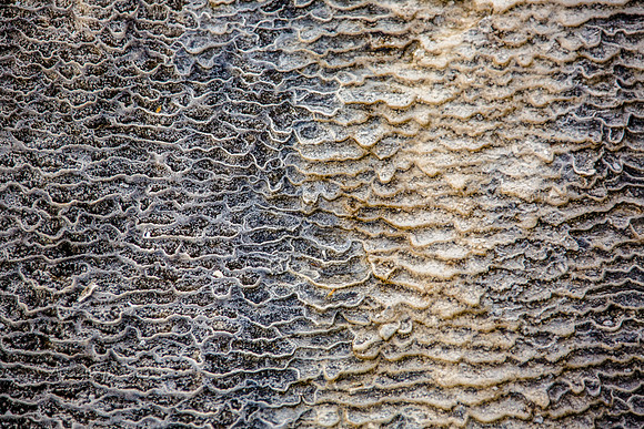 Yellowstone - Geyser
