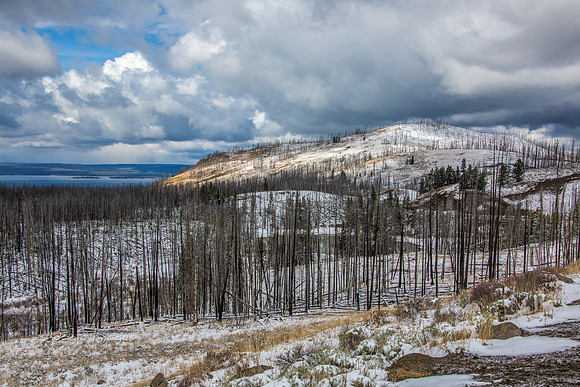 Yellowstone