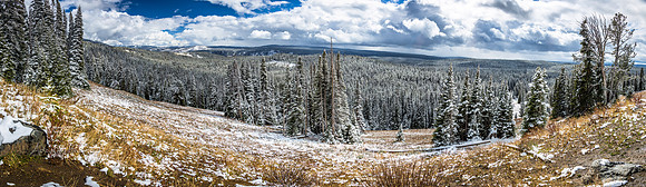 Yellowstone