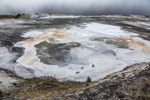 Yellowstone - Geyser