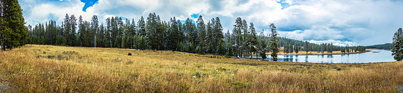 Yellowstone
