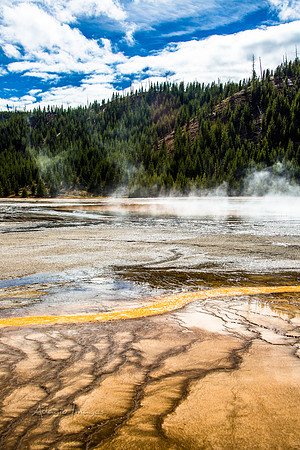 Yellowstone - Geyser