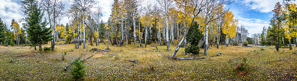 Yellowstone