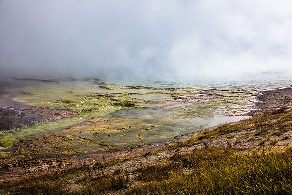 Yellowstone - Geyser