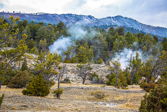 Yellowstone - Geyser