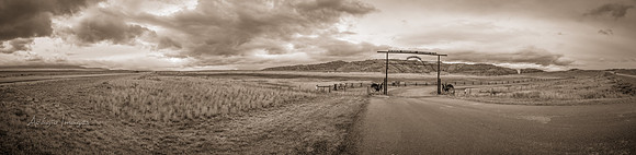 Martin's Cove