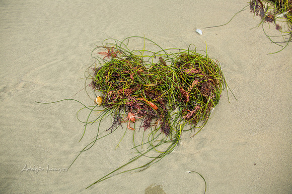 San Diego Beach