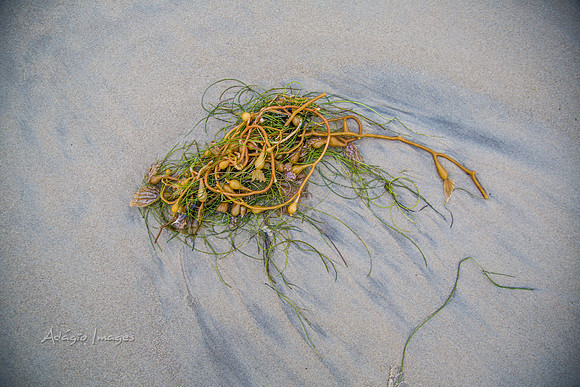 San Diego Beach