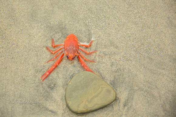 San Diego Beach