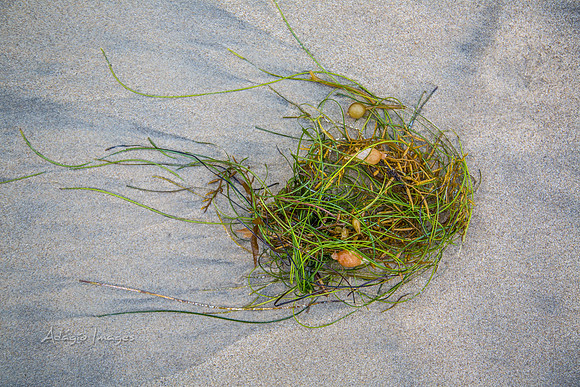San Diego Beach