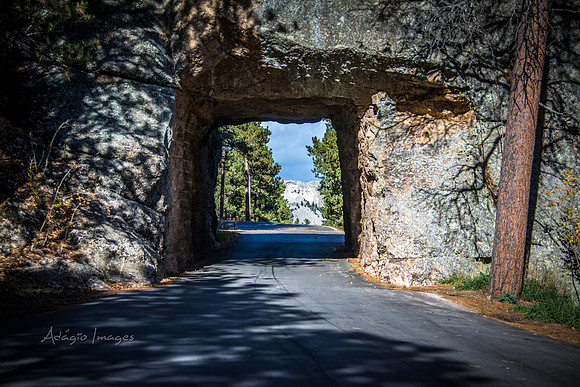 View of Mt Rushmore