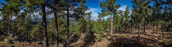 View of Mt Rushmore