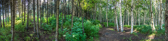 170723_Alaska_194-Pano