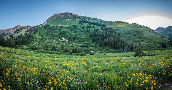 180717_Albion Basin_079-Pano