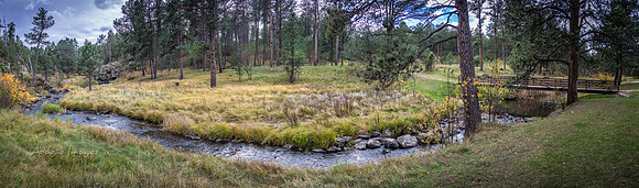 Custer State Park