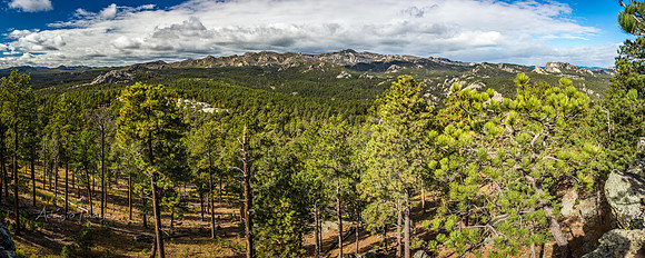 View of Mt Rushmore
