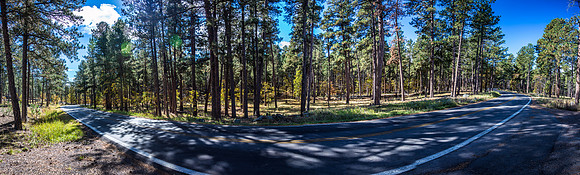 Custer State Park