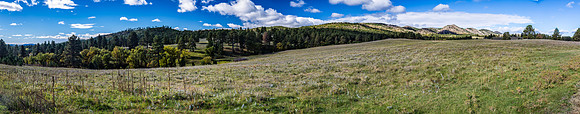 Custer State Park