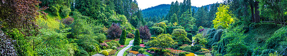 170801_Butchart_3986-Pano