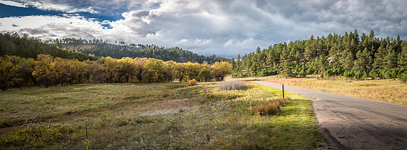 Custer State Park