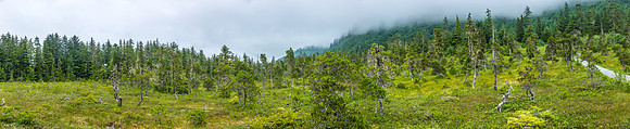 170726_Alaska_1613-Pano