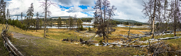 Yellowstone