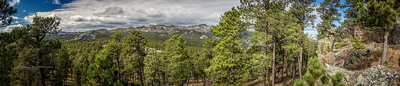 View of Mt Rushmore