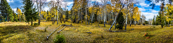 Yellowstone