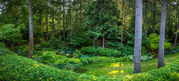 170801_Butchart_4177-Pano-2