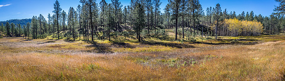 Custer State Park