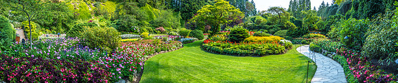 170801_Butchart_4004-Pano