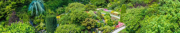 170801_Butchart_4094-Pano