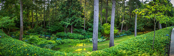 170801_Butchart_4177-Pano