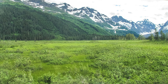 170724_Alaska_2_665