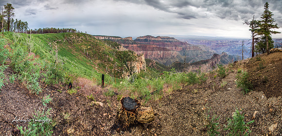 140704_Grand Canyon_165-Edit