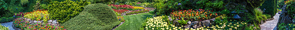 170801_Butchart_4053-Pano