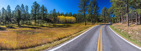 Custer State Park