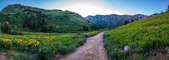 180717_Albion Basin_059-Pano