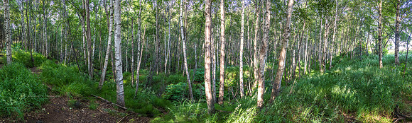170723_Alaska_210-Pano