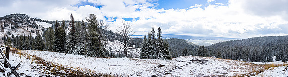 Yellowstone