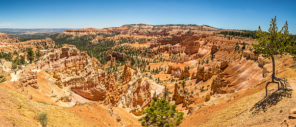 170616_Bryce Canyon_016-Pano