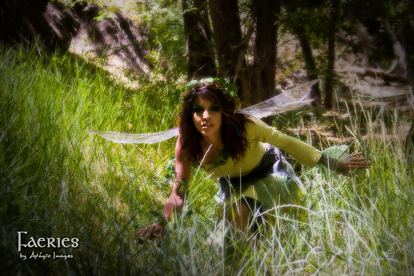 100618_DR_F038