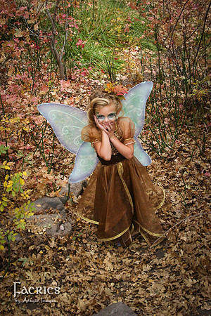 MS_081101_114-2