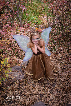 MS_081101_114