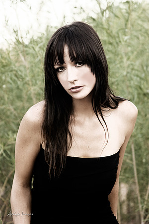 Morgan 2010-06