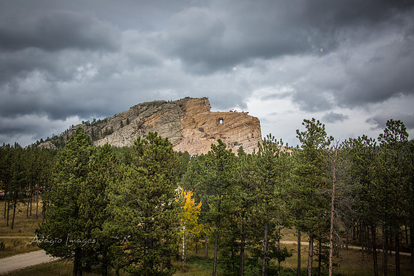 Crazy Horse