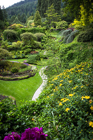 Butchart Garden